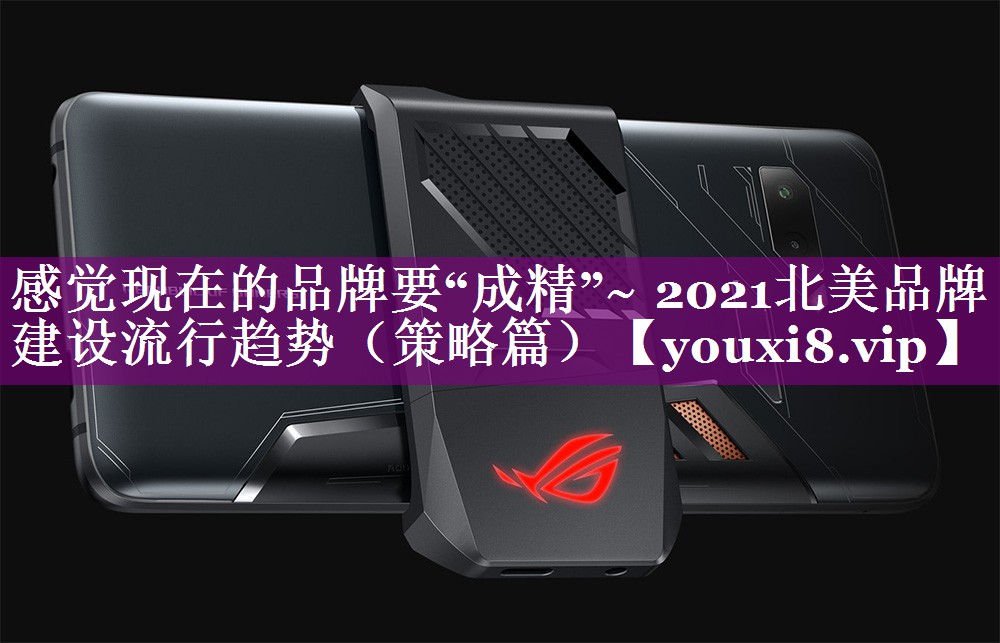 感觉现在的品牌要“成精”~ 2021北美品牌建设流行趋势（策略篇）