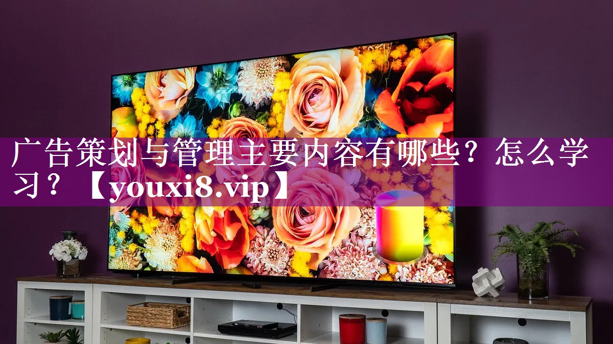 广告策划与管理主要内容有哪些？怎么学习？