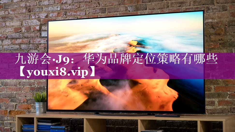 华为品牌定位策略有哪些