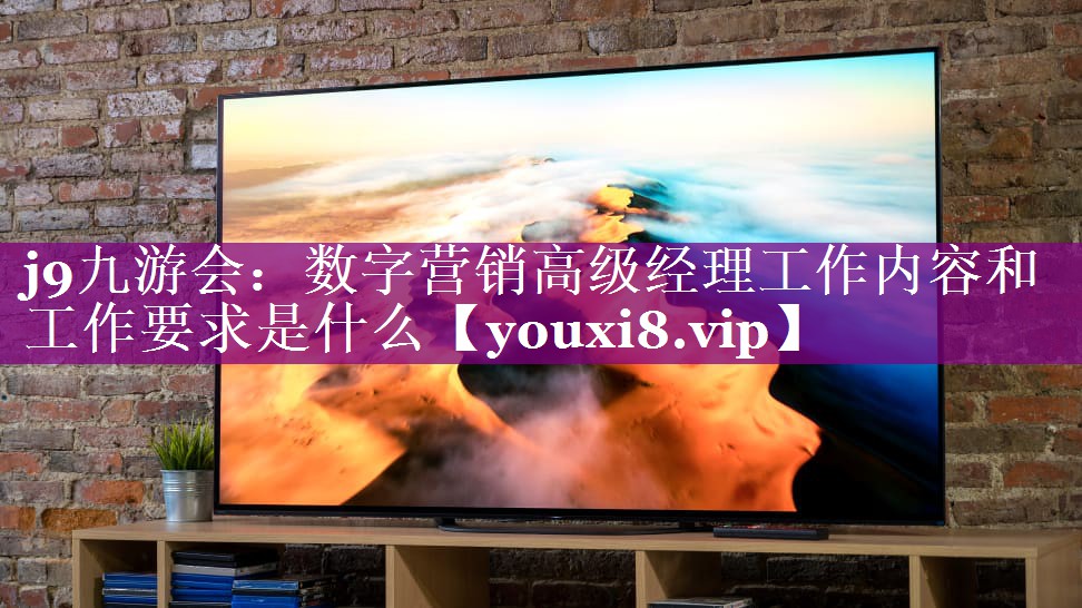 数字营销高级经理工作内容和工作要求是什么