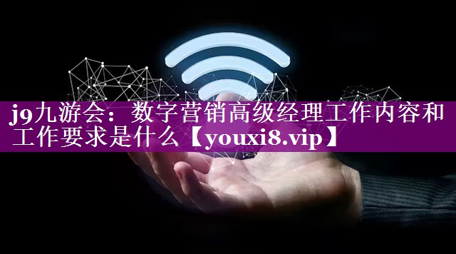 数字营销高级经理工作内容和工作要求是什么