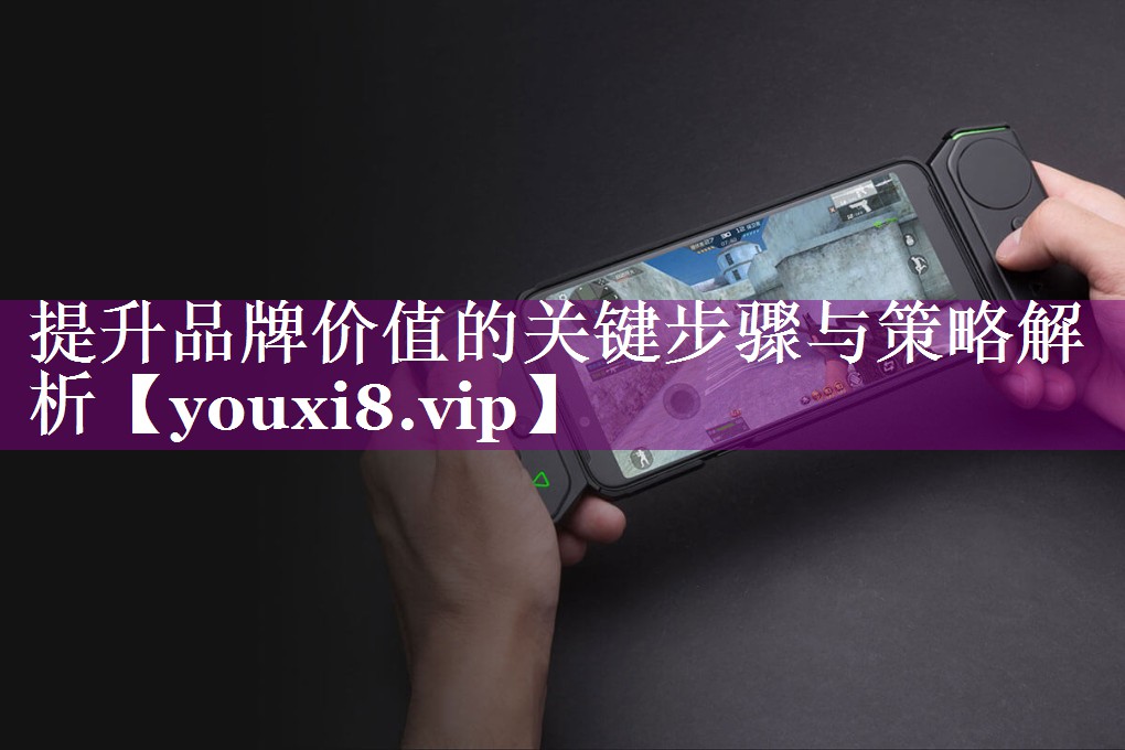 提升品牌价值的关键步骤与策略解析