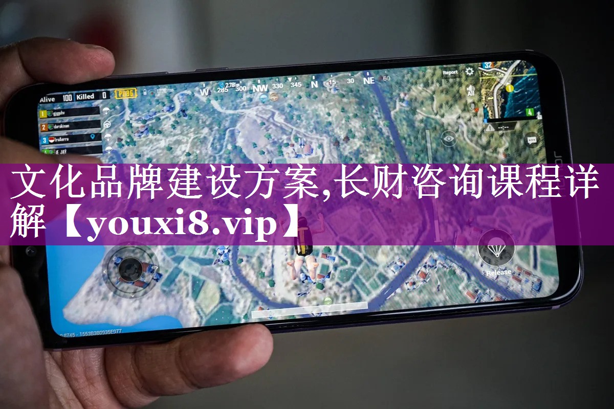 文化品牌建设方案,长财咨询课程详解