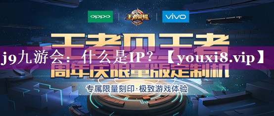 什么是IP？