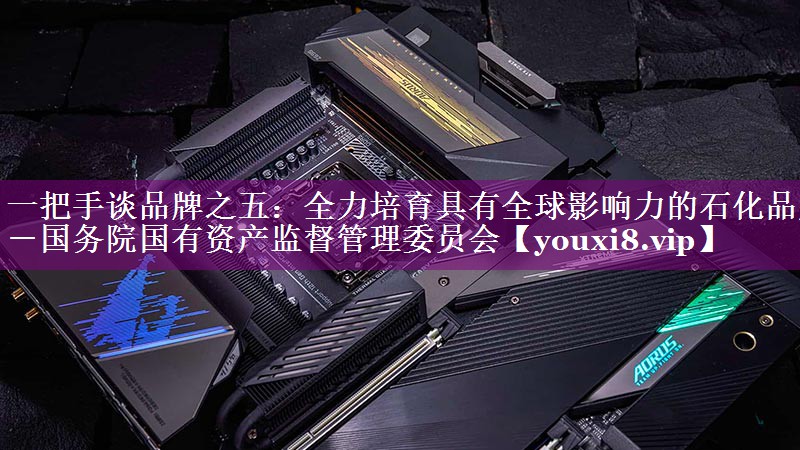 一把手谈品牌之五：全力培育具有全球影响力的石化品牌－国务院国有资产监督管理委员会