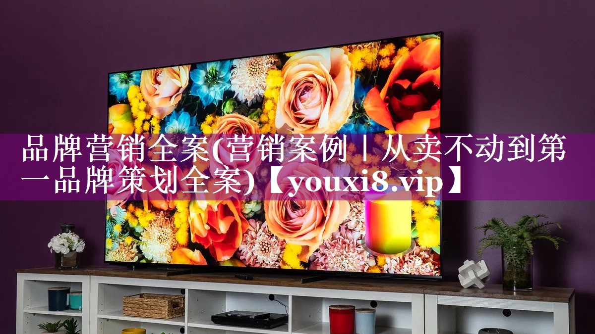品牌营销全案(营销案例｜从卖不动到第一品牌策划全案)